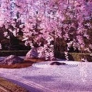 Meet your Posher, Eva